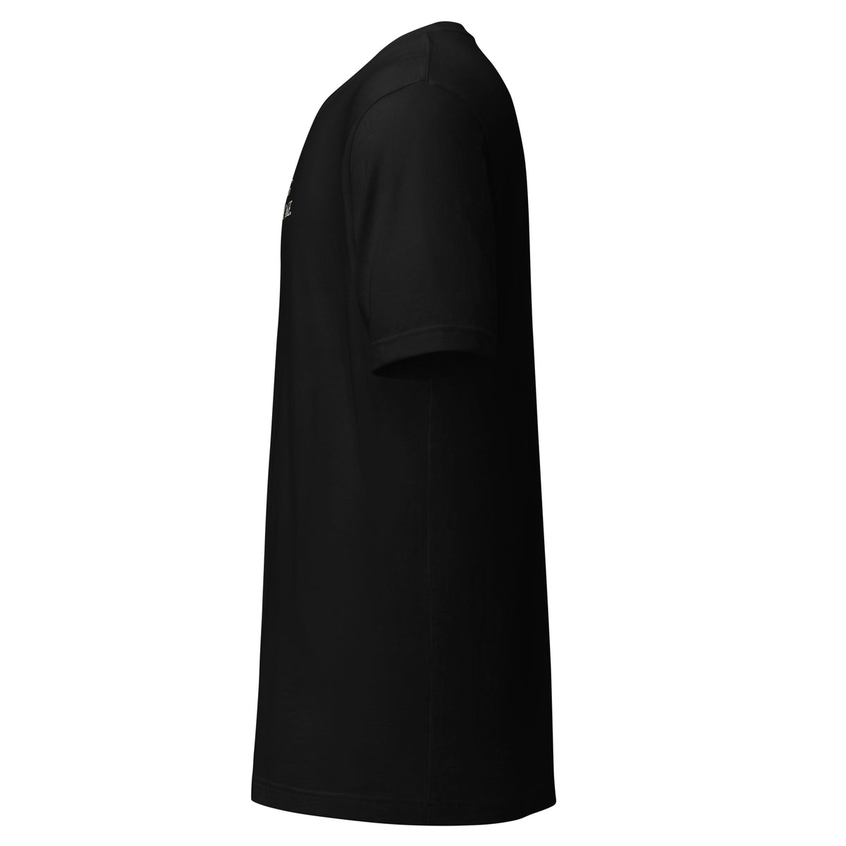 Sesame Cake T-Shirt — Slept-On Cinema, black garment, product view 3